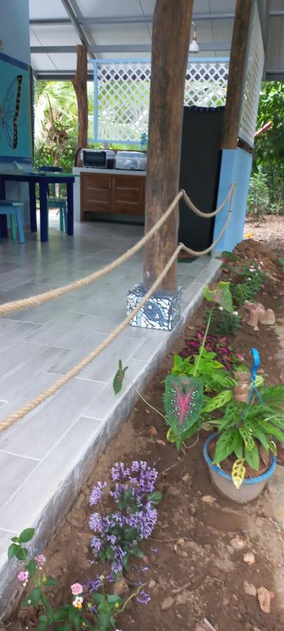 הוילה קאוויטה Casa Katharina מראה חיצוני תמונה