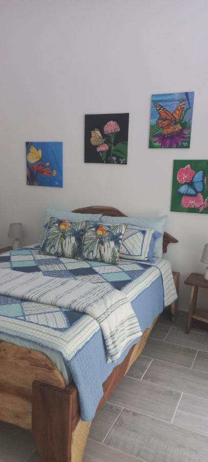 הוילה קאוויטה Casa Katharina מראה חיצוני תמונה